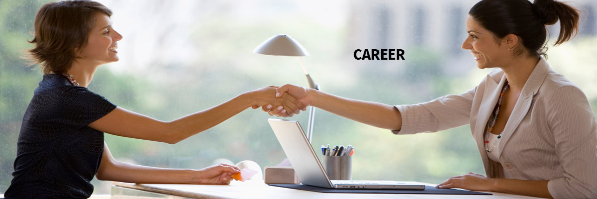 IT Career